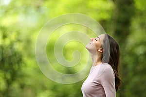 Relaxed woman breathing fresh air in a green forest