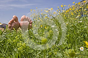 Relaxen in the flower meadow