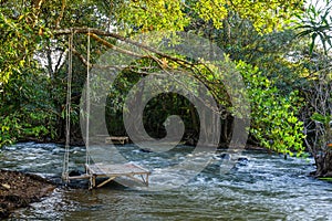 Relaxing bamboo litter and swing in the Creek