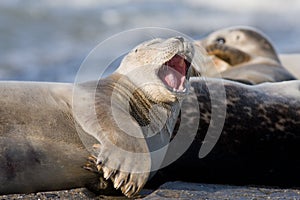 Relaxing on the beach