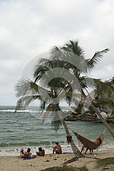 Relaxing at the beach. Hammock