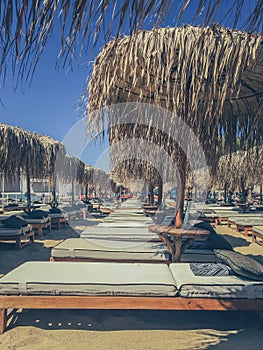 Relaxing on the Beach Under the Blue Sky and Palms