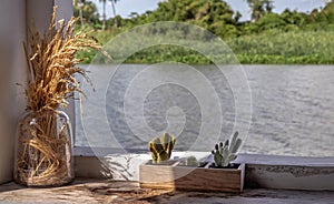 Relaxing corner beside the river with dried ear of rice in a glass jar and little cactus in wooden plant pot for decoration