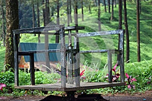 Relaxing and enjoying a fresh air in the pine forest