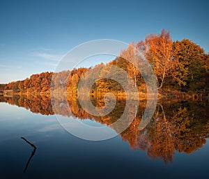 Relaxing European Autumn Landscape In Orange And Blue Colors At Sunset. A Mirror Image Of The Autumn Red Forest With A Quiet Surfa