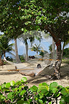 Relaxing in a Hammock