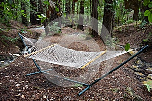 Relaxing hammock in the woods
