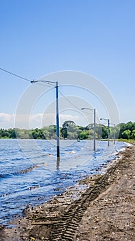 Relaxing lake Nicaragua landscape with tree. Nicaragua, Central America