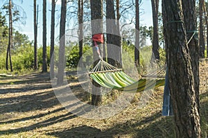 Relaxing lazy time with color hammock in the green forest.