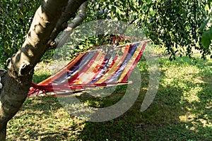 Relaxing lazy time - coloured hammock in the green forest. Beautiful landscape with swinging hammock in the summer garden,  sunny