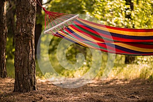 Relaxing lazy time with hammock in forest. Beautiful landscape with swinging hammock in summer garden, sunny day.