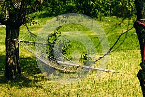 Relaxing lazy time with hammock in the green forest. Beautiful landscape with swinging hammock in the summer garden, sunny day