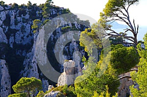 The relaxing nature in the French Riviera at Calanque En Vau