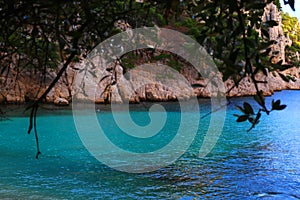 The relaxing nature in the French Riviera in Calanque En Vau