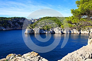 The relaxing nature in the French Riviera in Port Pin