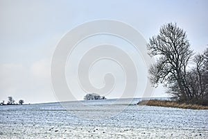 Relaxing nature landscape photo of warm sunset over isolated field on a winter day. Countryside morning scene with bare