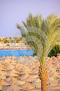 Relaxing at paradise beach - Chaise lounge and parasols - travel destination Hurghada, Egypt