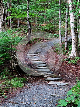 Relaxing Pedestrian pathway