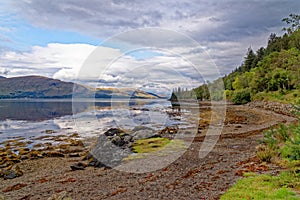 Relaxing picnic area at Loch Linnhe - west coast Scotland