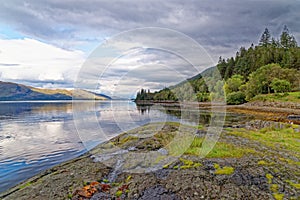 Relaxing picnic area at Loch Linnhe - west coast Scotland