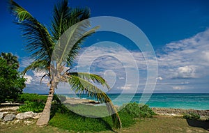 Relaxing on remote Tropical Paradise beach in