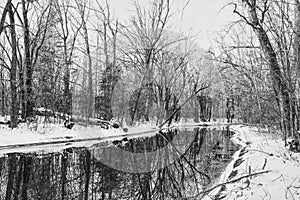 Relaxing scene in early winter, after the first snow, showing a river as a mirror reflecting the bare trees