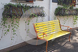 This is a relaxing scene with the the yellow bench by the plants.