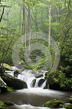 Relaxing scenic in the Great Smoky Mountains USA