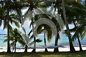 Relaxing, scenic sea view with cozy hammock in the shadow of  palm trees on a tropical beach.