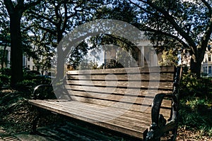 Relaxing spot on a bench between Savannahs beautiful Oak trees with spanish moss