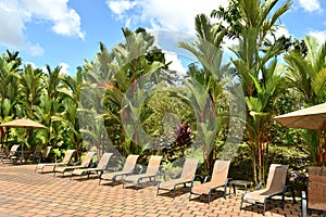 Relaxing sun loungers in a hotel complex