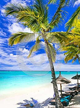 Relaxing tropical holidays - beautiful beaches of Mauritius island