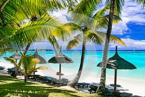 Relaxing tropical scenery -beauti palm beach in Mauritius island
