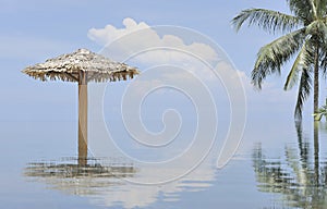 Relaxing umbrella, palm and infinity pool scene