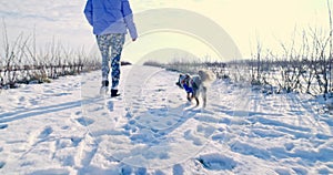 A relaxing walk with your dog on a bright winter day.