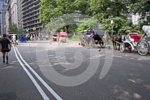 Central Park NYC carriages and pedicabs -7