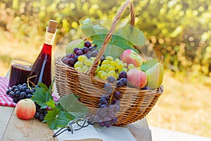 Relaxing with wine, fruit and book