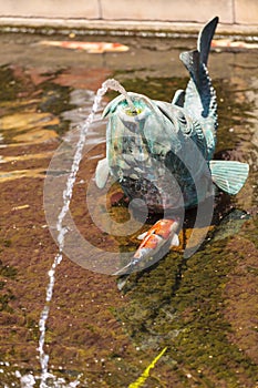 Relaxing zen fountain in a koi pond