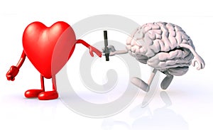 Relay between brain and heart