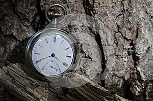 Relentless and Unstoppable Passage of Time