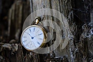 Relentless and Unstoppable Passage of Time