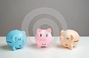 A reliable way to save money. One of the piggy banks\' piggy banks stood on its feet after the crisis and adversity.