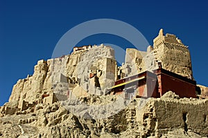Relics of an Ancient Tibetan Castle