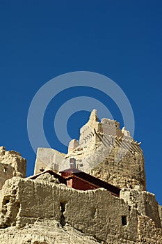 Relics of an Ancient Tibetan Castle