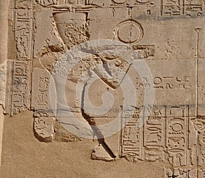 Relief, ancient, history, stone, carving, archaeological, site, artifact, sculpture, sand, egyptian, temple, stele