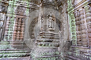 Relief - carved stones in temple Ta Prohm, Angkor Wat, Khmer Temple, Siem Reap, Cambodia.