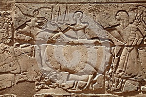 Relief figures in egyptian temple