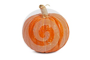 Relief little pumpkin with a tail