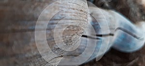 Relief texture of the dark brown bark of a tree. Horizontal photo of a tree bark texture