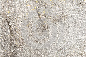 Relief texture of a gray stone, abstract background